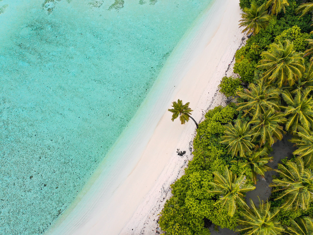 Fly Fishing in Maldives