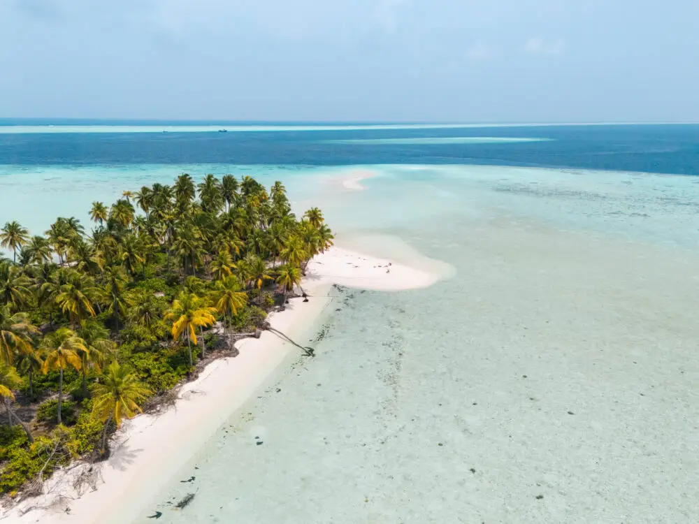 fly fishing in maldives