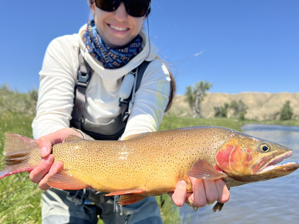 “Cutthroat trout caught in Wyoming USA”