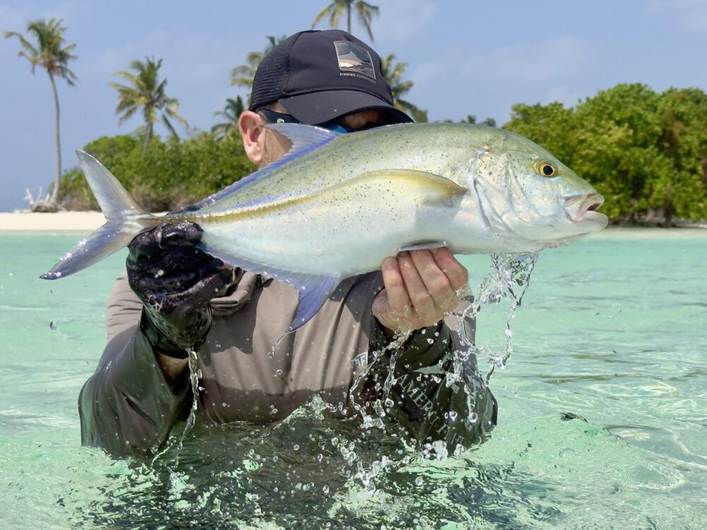 fly fishing for bluefin trevally in Maldives