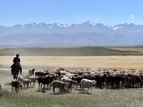 fishing in kyrgyzstan