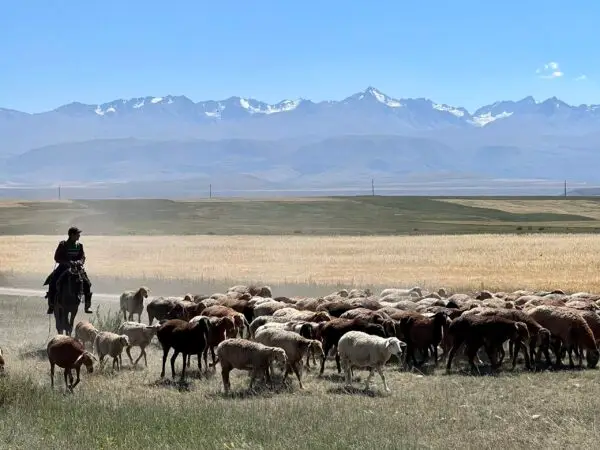 fishing in kyrgyzstan