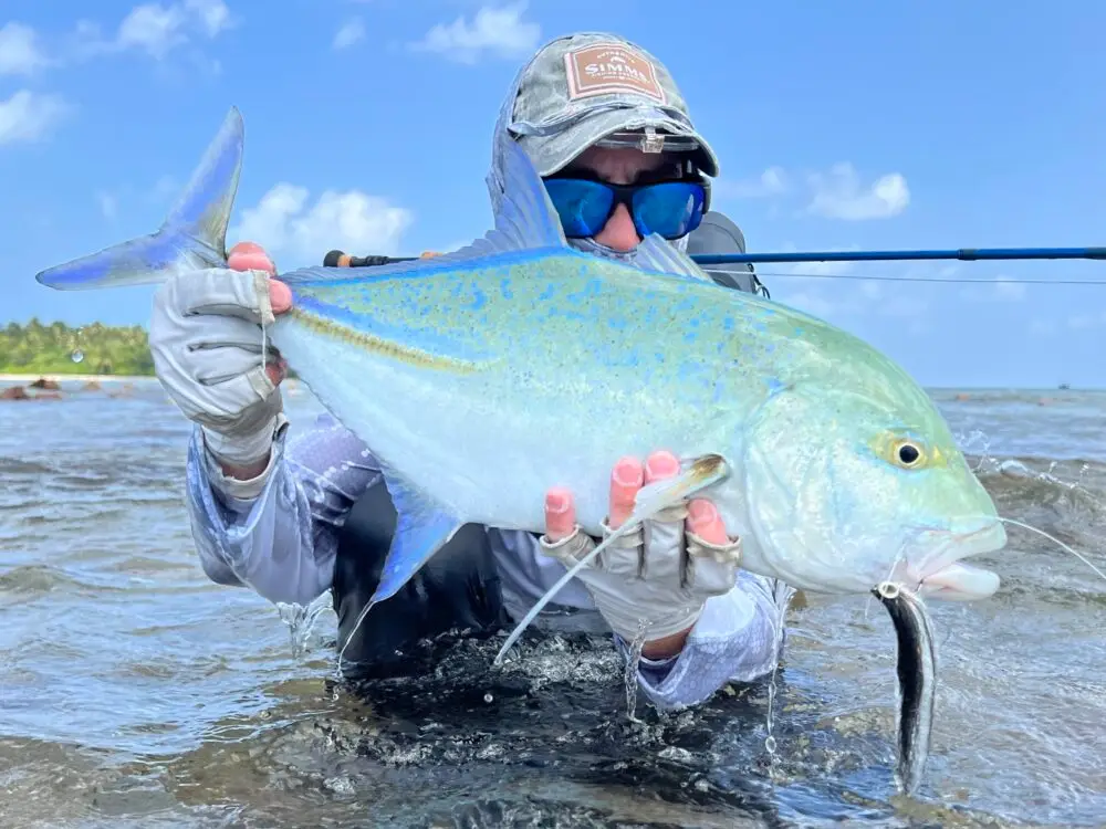 Fly Fishing Trip in Maldives