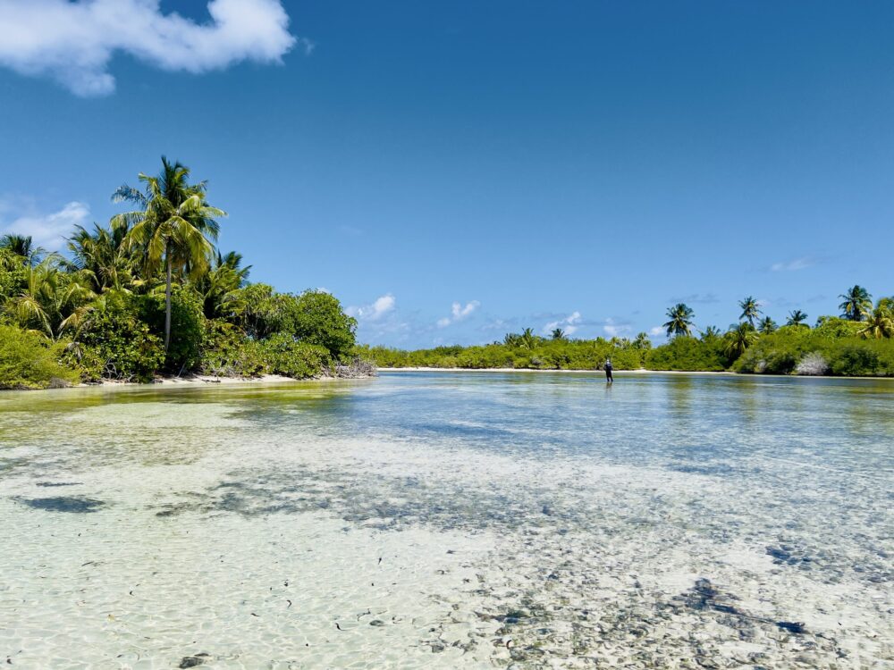 Fly Fishing in Pristine waters of the Maldives