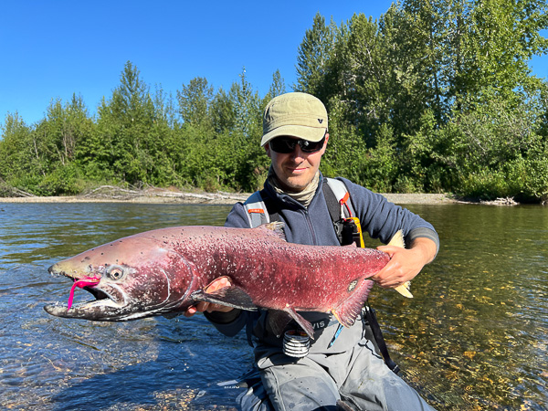 King Salmon Pesca Alaska