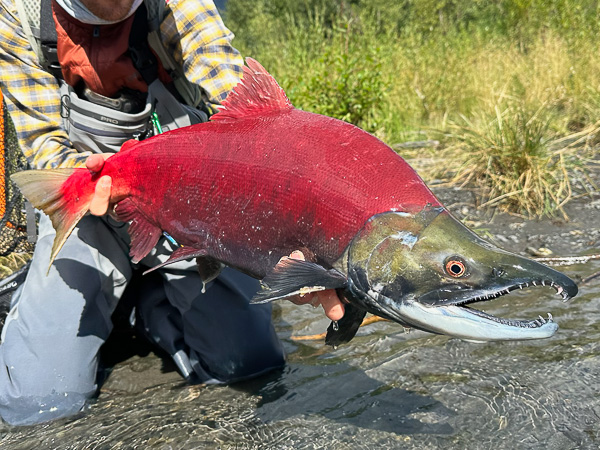 Viaje de Pesca a Alaska