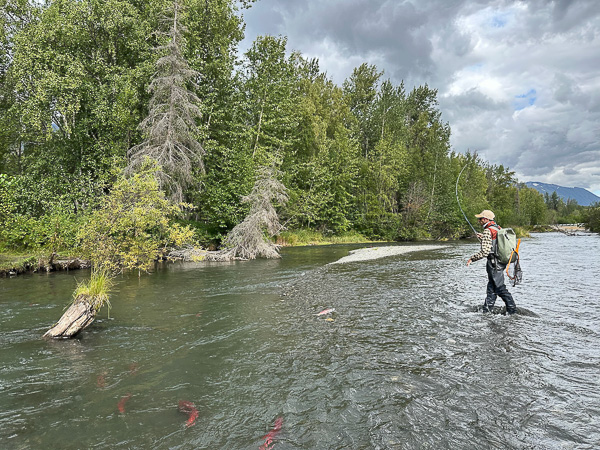 Viaje Pesca Alaska Kenai