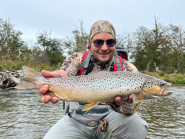 Brown trout caught fly fishing in clear Patagonian river waters, Tierra del Fuego