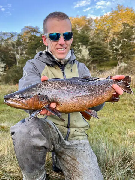 Brown trout in Tierra del Fuego argentina