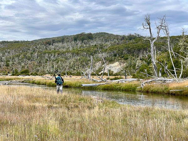 Remote Patagonian trout river flowing through wild landscape in Tierra del Fuego