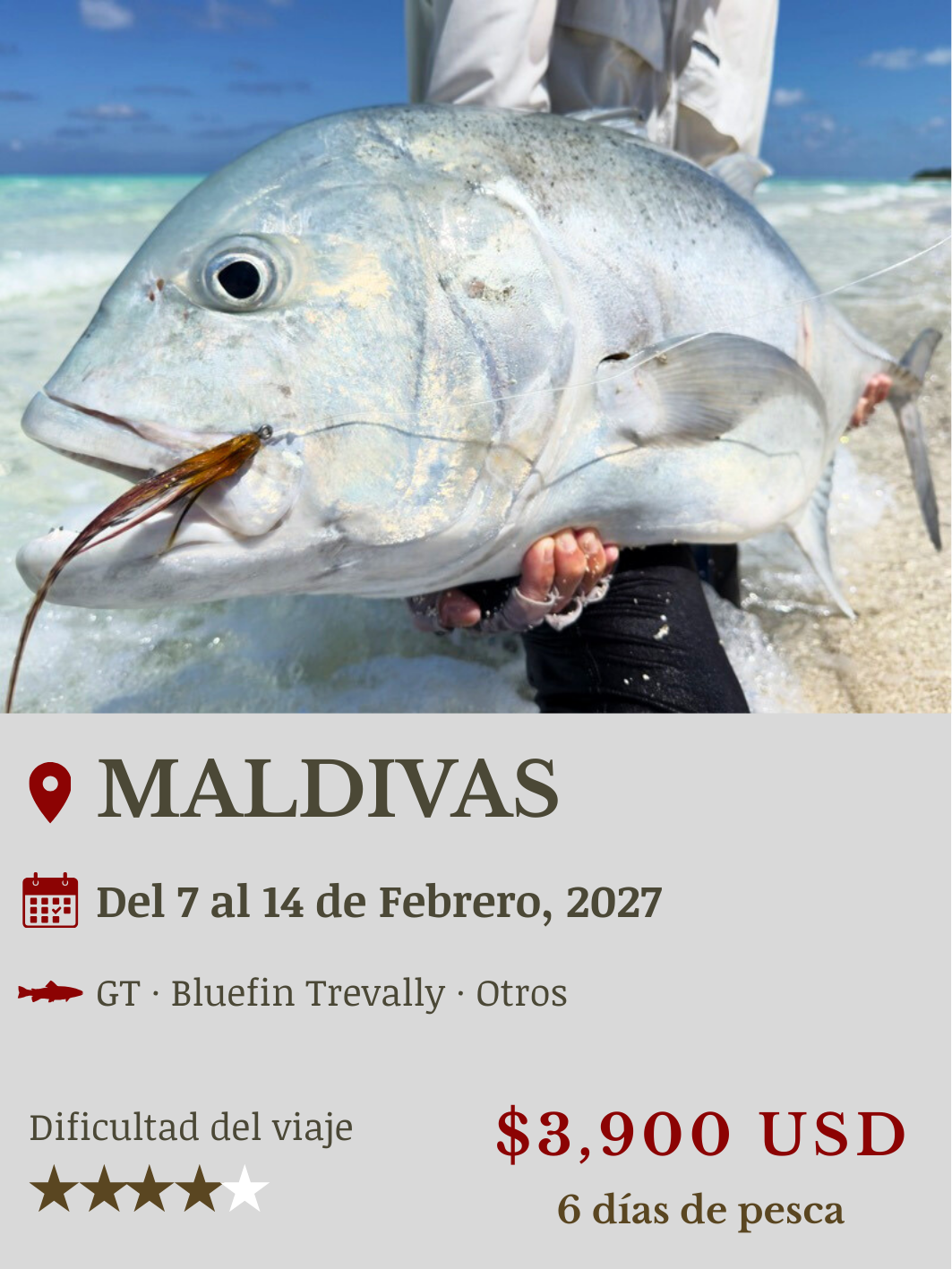 viaje de pesca mosca a maldivas