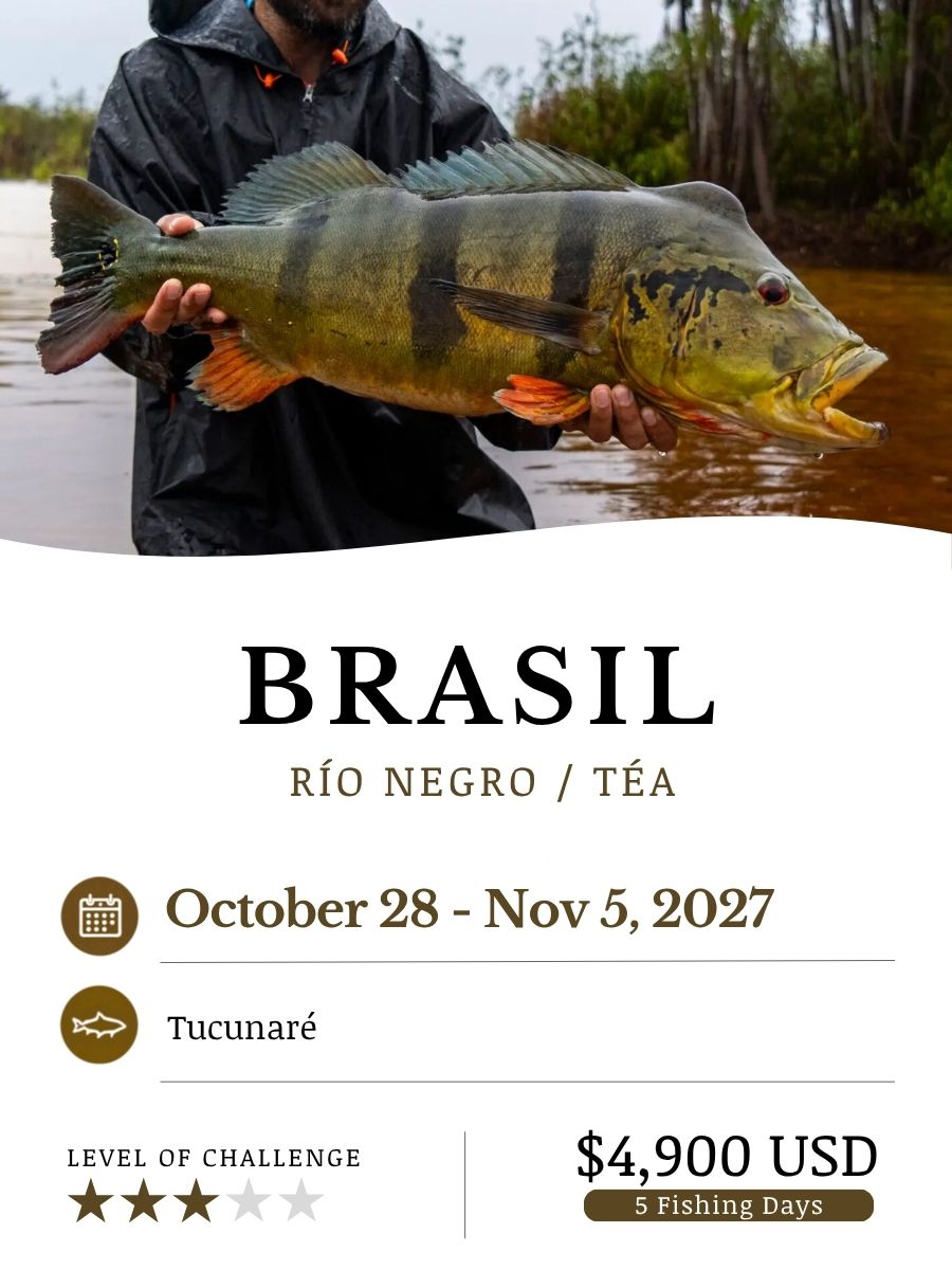 Brasil_Oct27_ENG