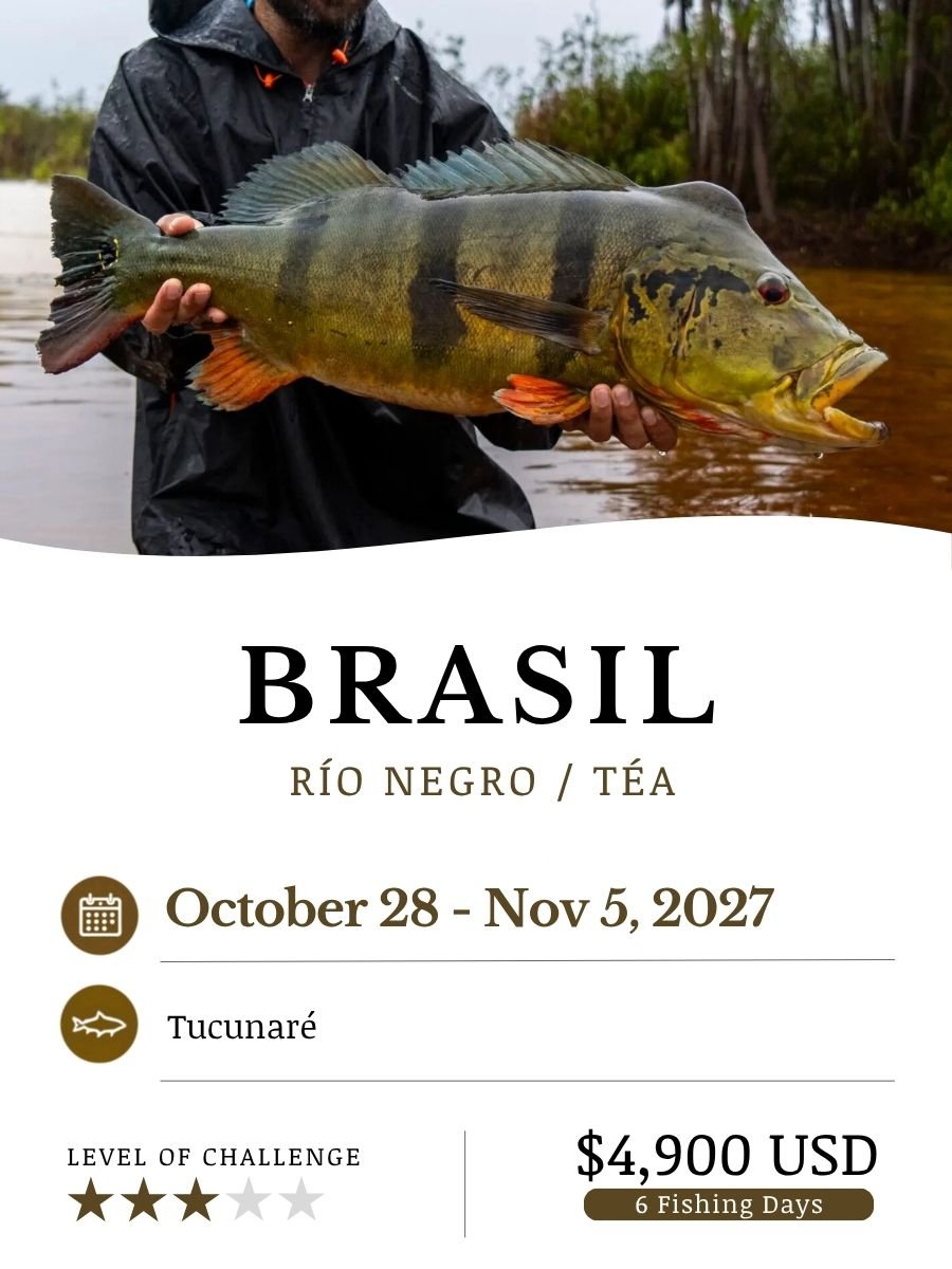 Brasil_2027