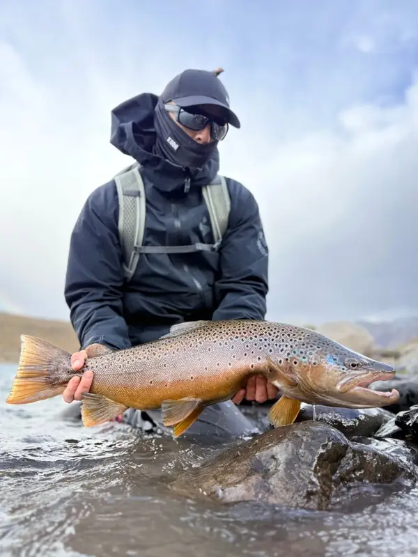 Big Brown Trout in Chile