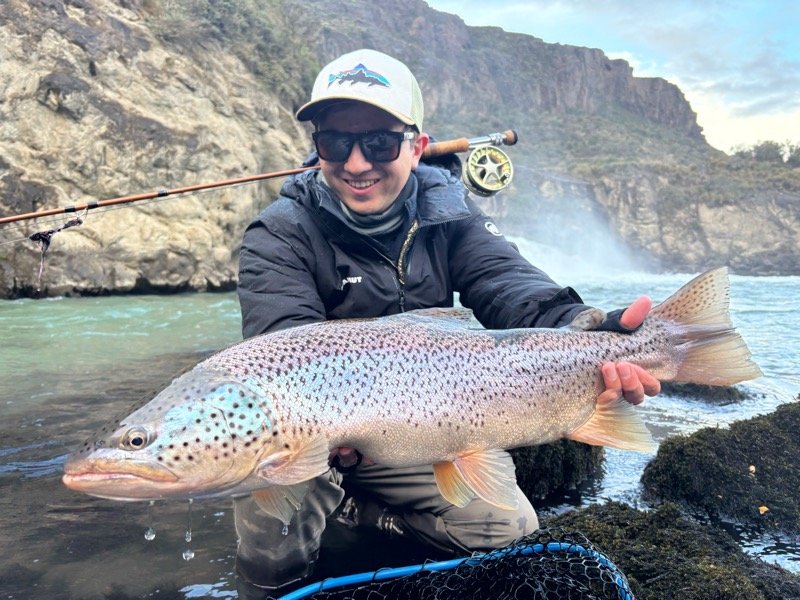 Monster Brown Trout in Cerro Castillo Aysén