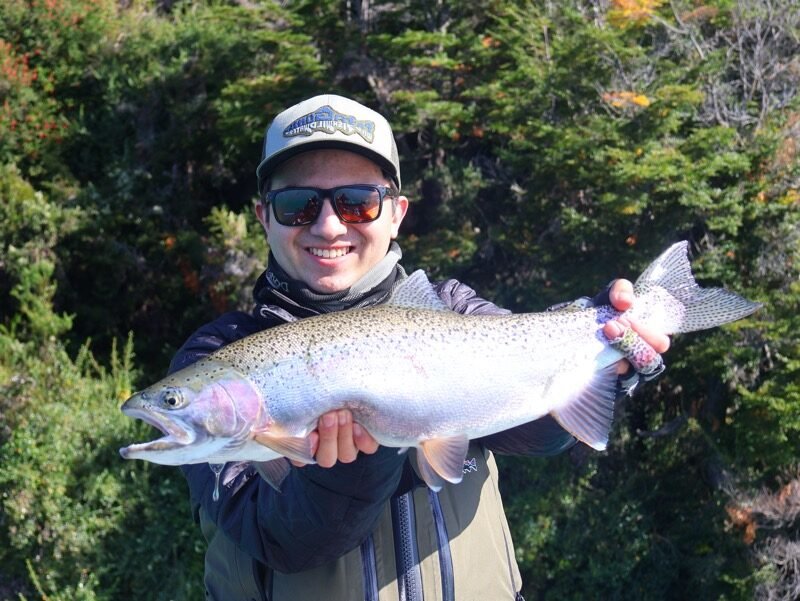 rainbow trout coyhaique chile