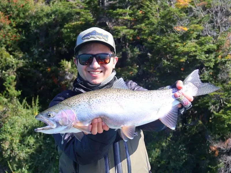 rainbow trout coyhaique chile