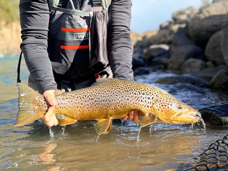 Fly Fishing Trip Aysen Chile