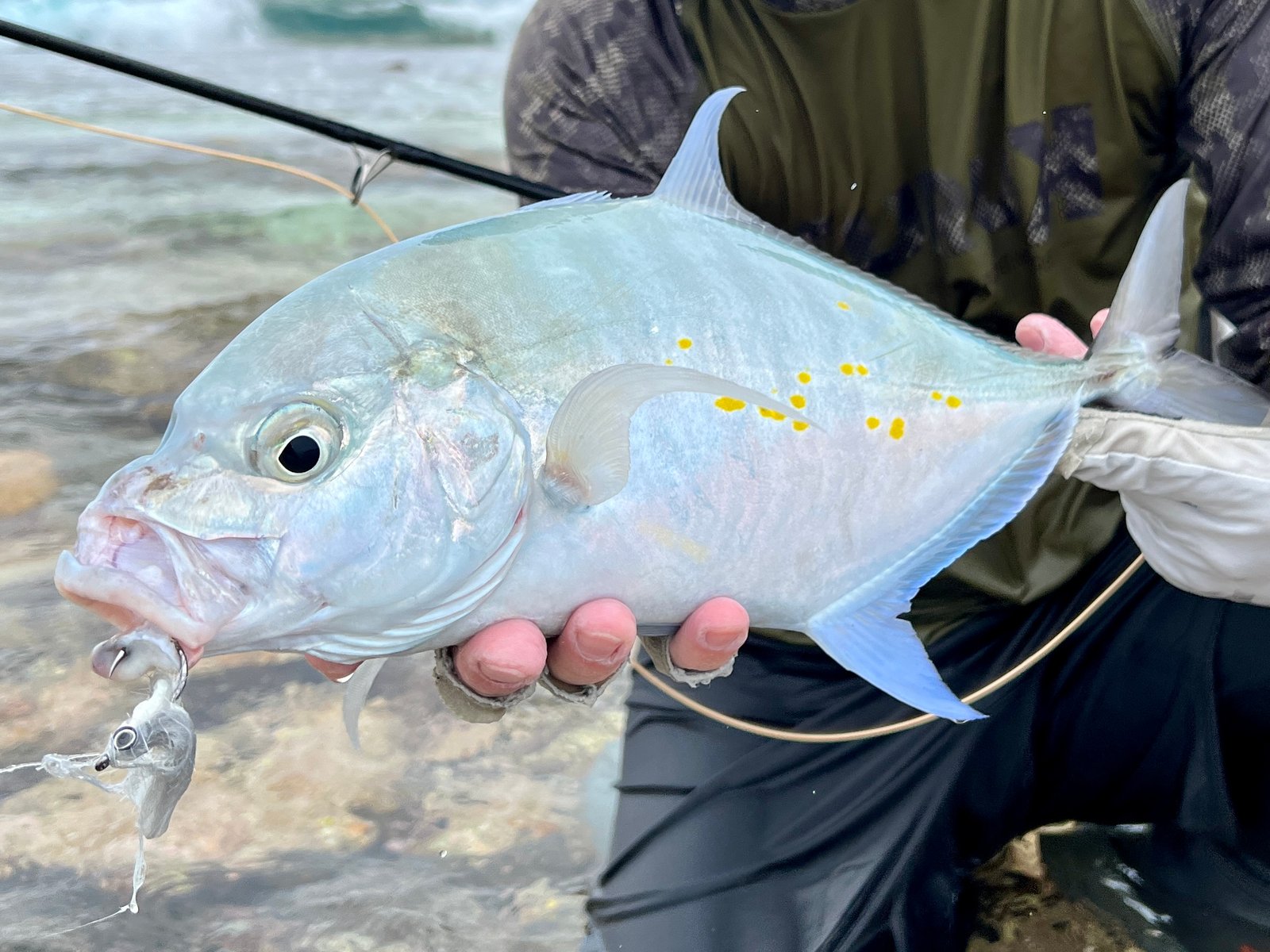 Fly Fishing in Maldives