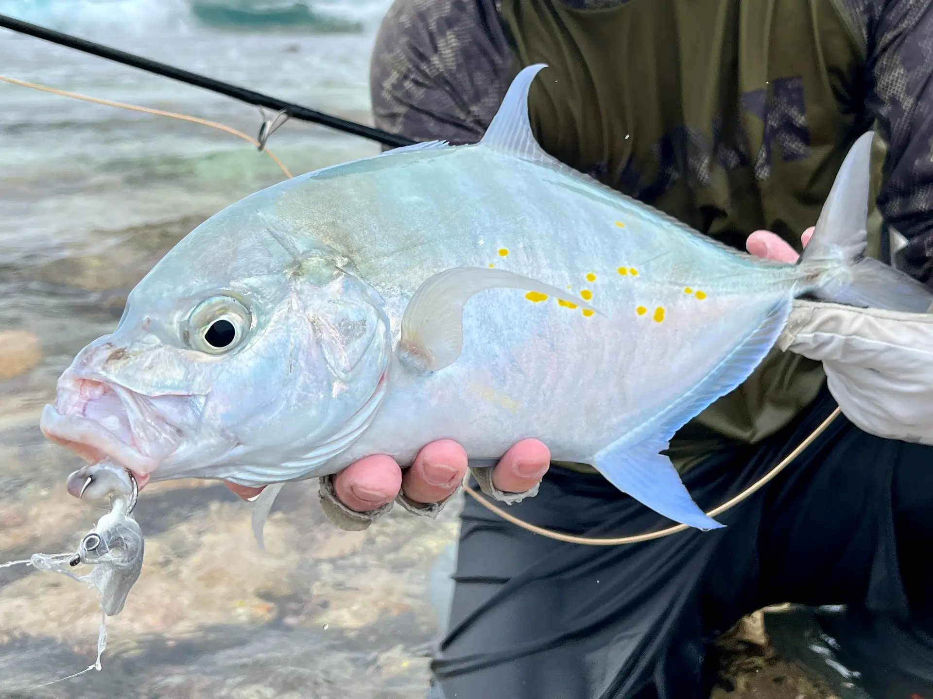 Fly Fishing in Maldives