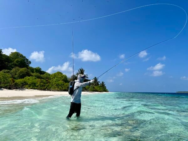 Fly Fishing in Maldives