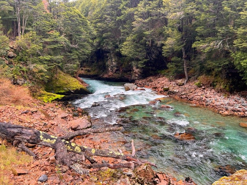 Fly Fishing Trip Paloma river Chile