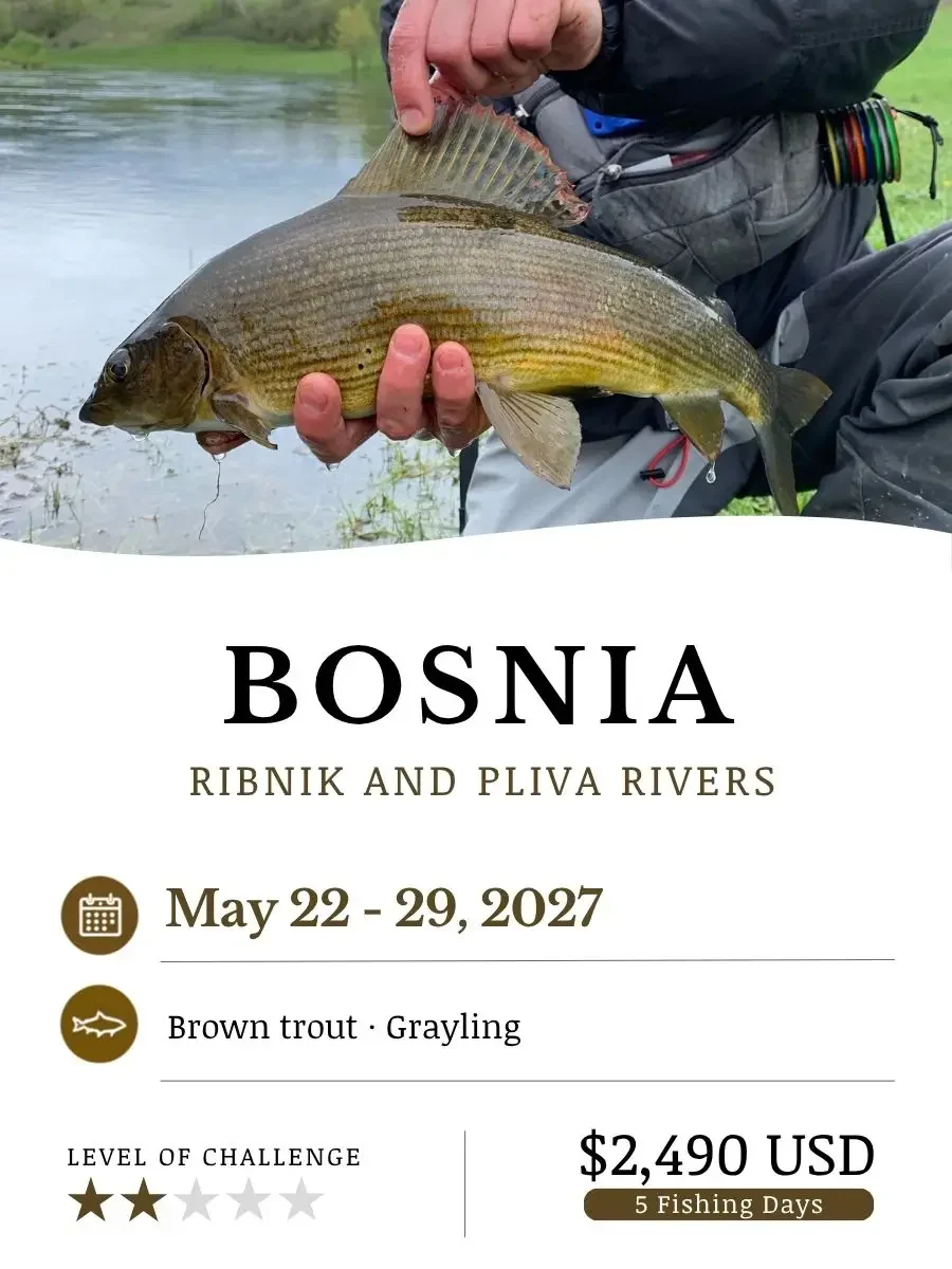 fly fishing trip grayling in europe