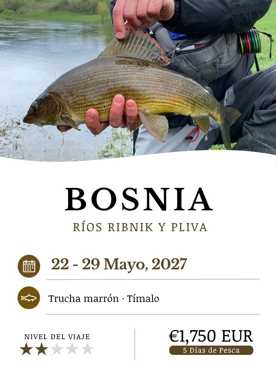 Bosnia_May27_ESP