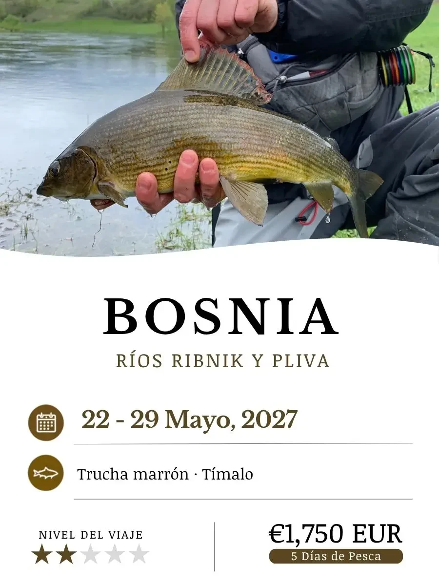 Bosnia_May27_ESP