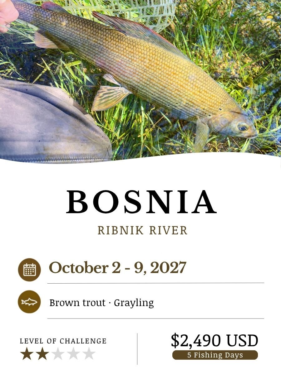 Bosnia_Oct27