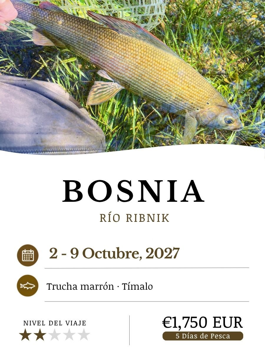 Bosnia_Oct27_ESP