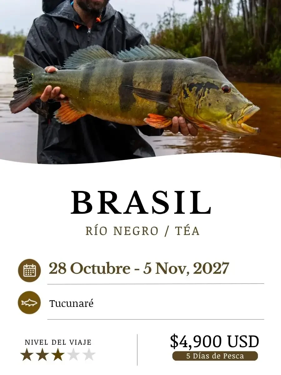 Brasil_Oct27_ESP