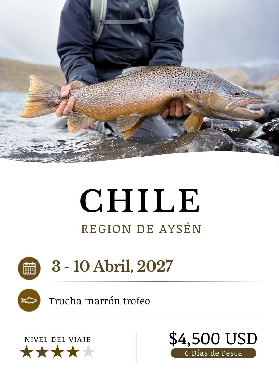 Chile_April27_ESP