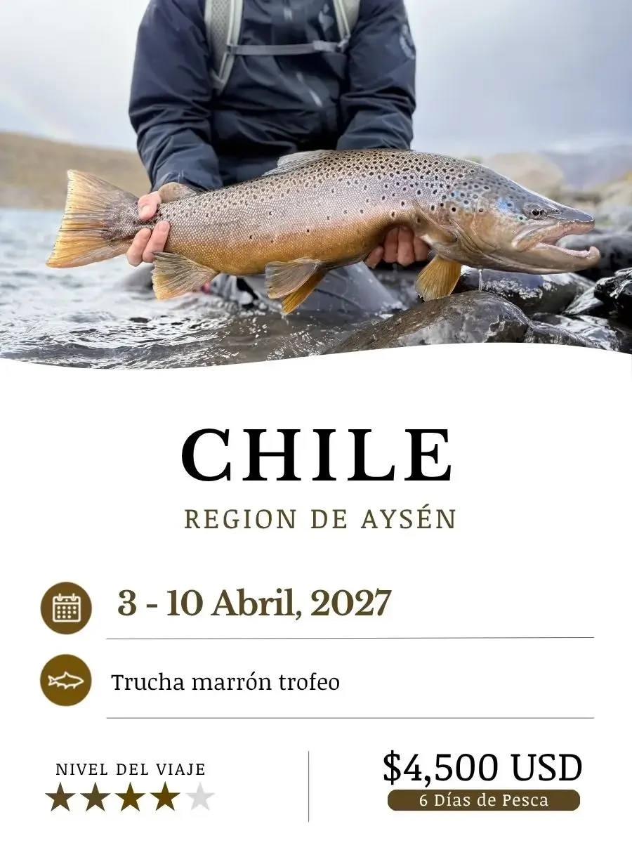 Chile_April27_ESP