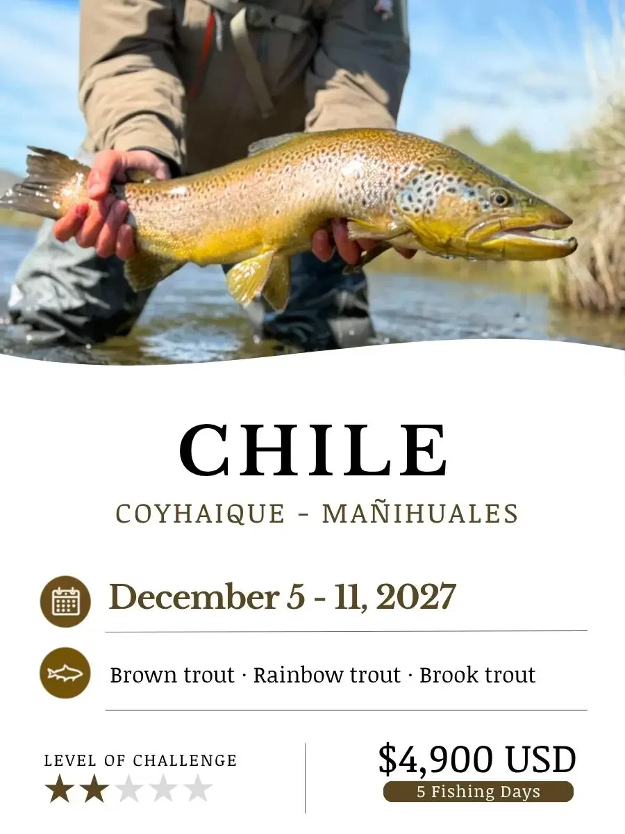 fly fishing trip aysen chile