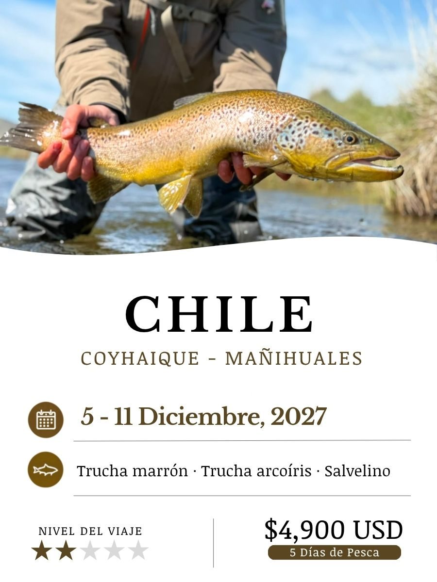 Chile_Dec27_ESP