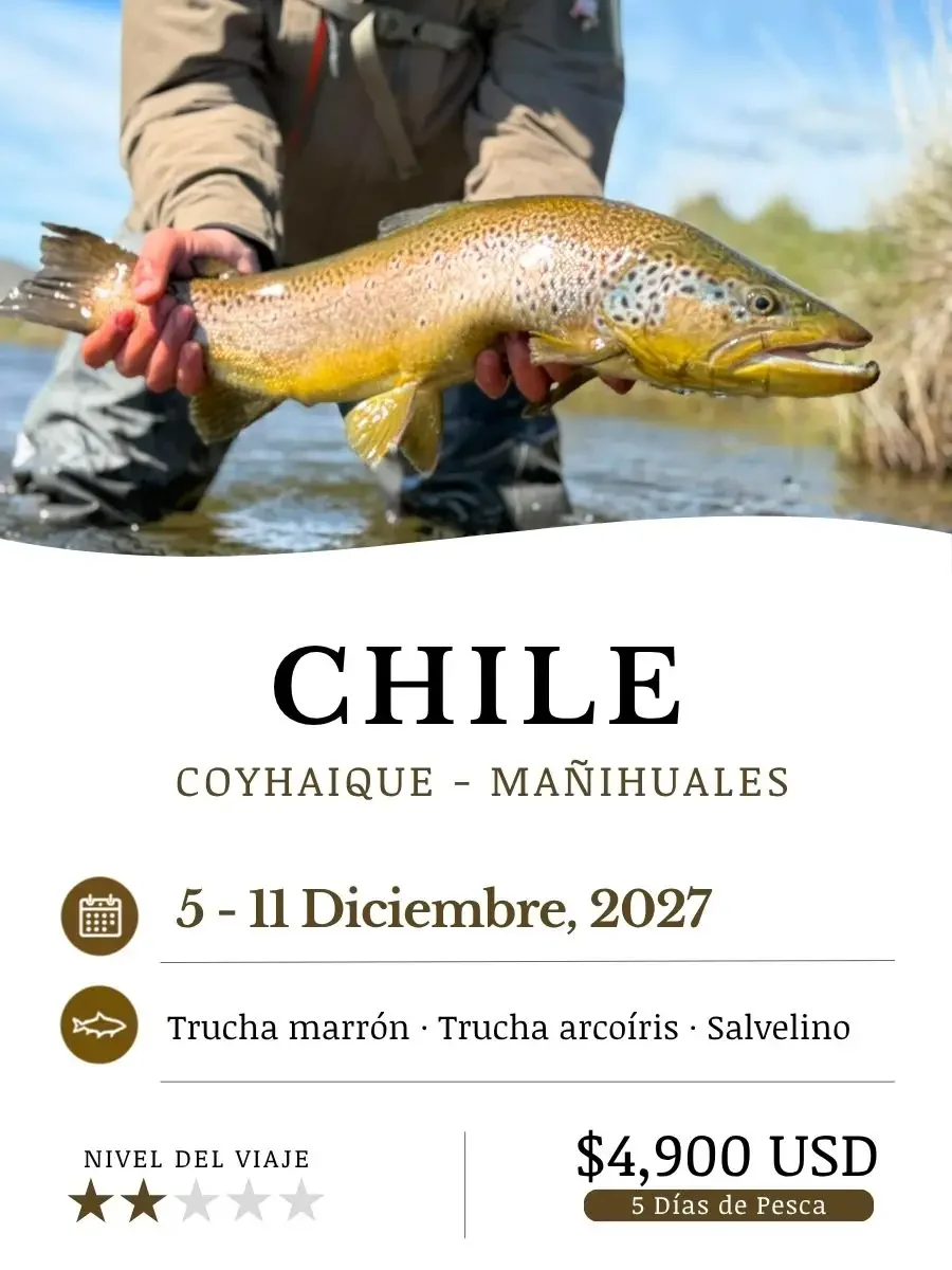 Chile_Dec27_ESP