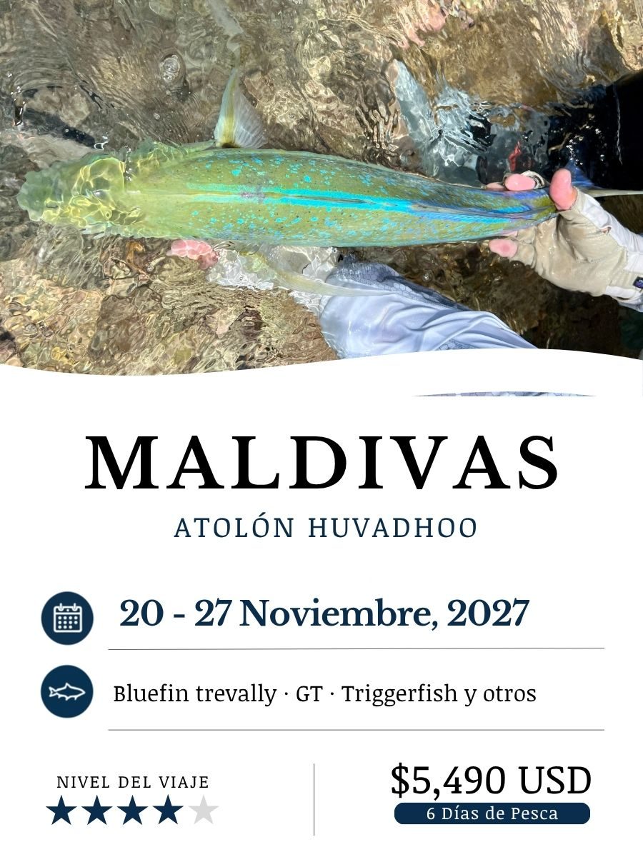 Maldives_Nov27_ESP