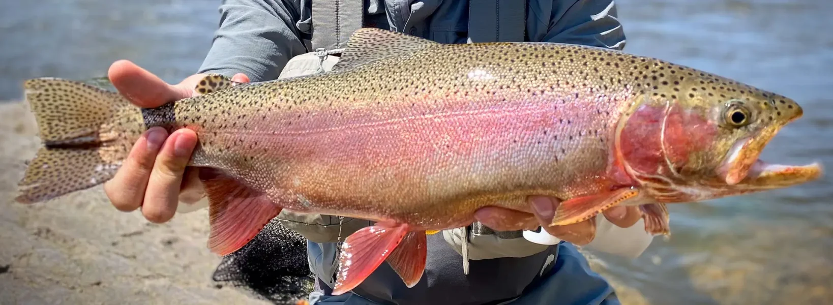 viaje de pesca a wyoming usa